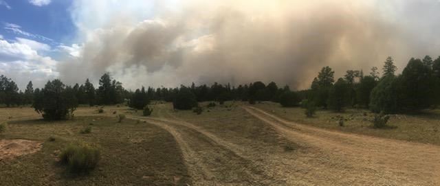Two dirt roads are visible in the foreground, with smoke rising above the treetops in the background Two dirt roads are visible in the foreground, with smoke rising above the treetops in the background