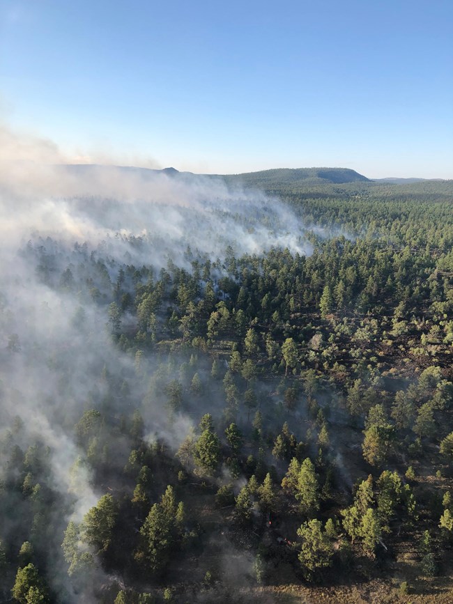 Maintaining a Fire Resilient Landscape at El Malpais National Monument (U.S. National Park Service)