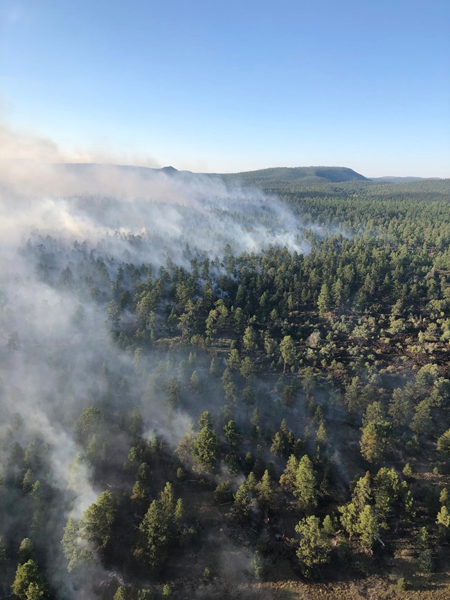 ELMA_Lava18Firec-09-04-2019 low intensity flames are visible on the forest floor
