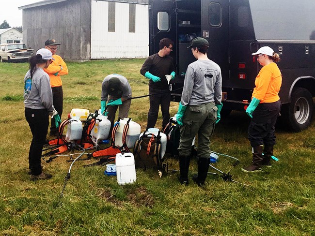 People loading plant exotic plant control backpacks and equipment into a vehicle