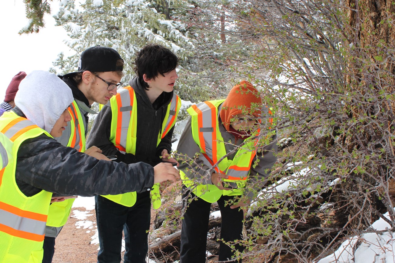 Students, wearing safety vests, gather around a plant. Snow is on the ground.