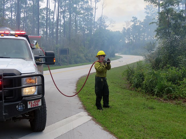 An engine crewmember wets down fuels with a hose from an engine. A firefighter uses a hose from an engine to dampen vegetation.