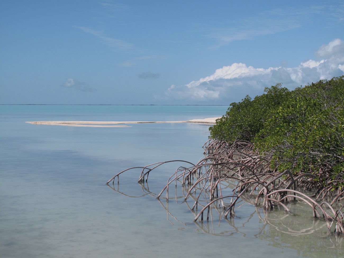 view of Florida Bay