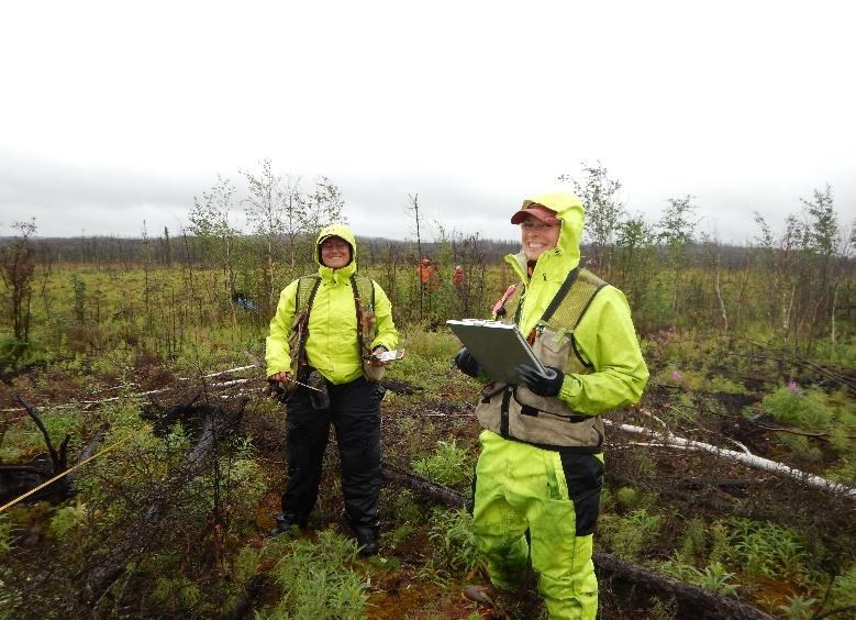 Two fire ecologists in bright, lime-yellow rain suits monitor impacts of multiple fires in Denali.