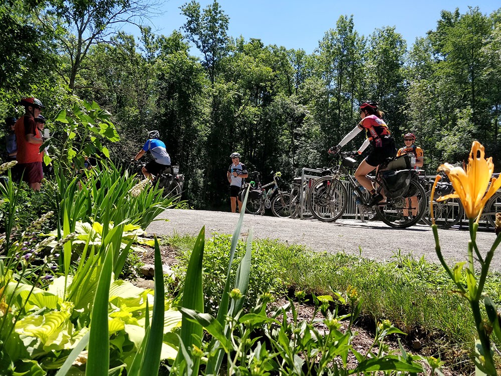 Cyclists stop on a trail with flowers.