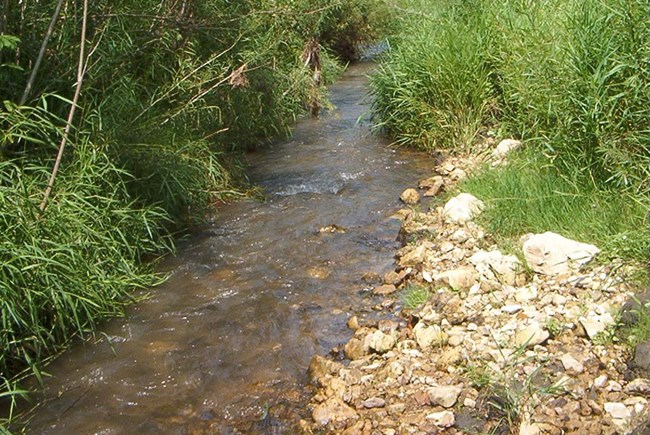 Dousman Creek Photo of Dousman Creek at Effigy Mounds National Monument