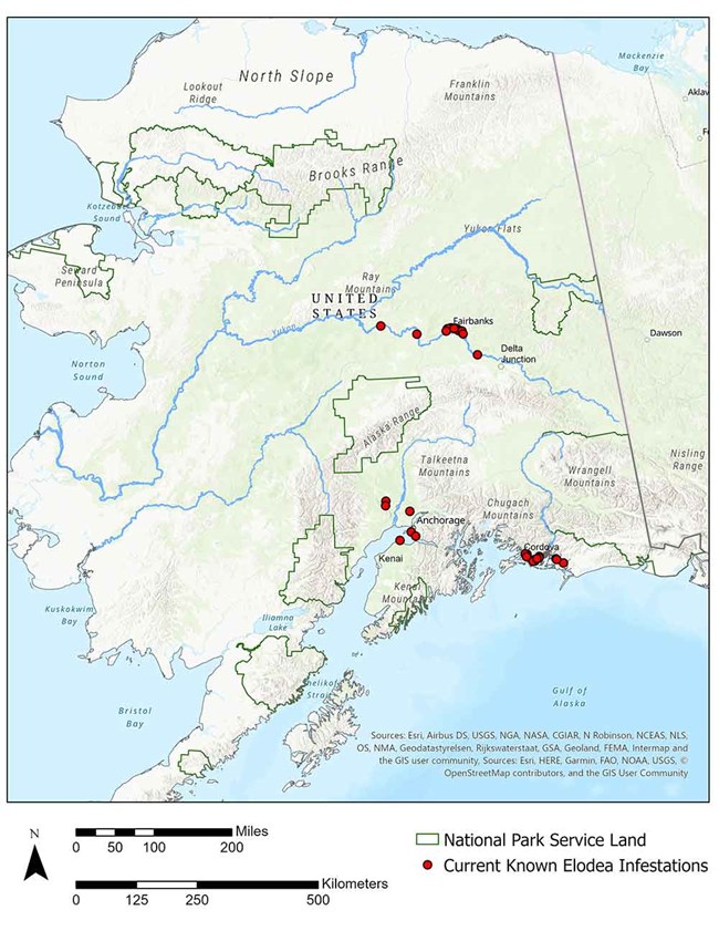 A map showing the location of elodea infestations in Alaska.