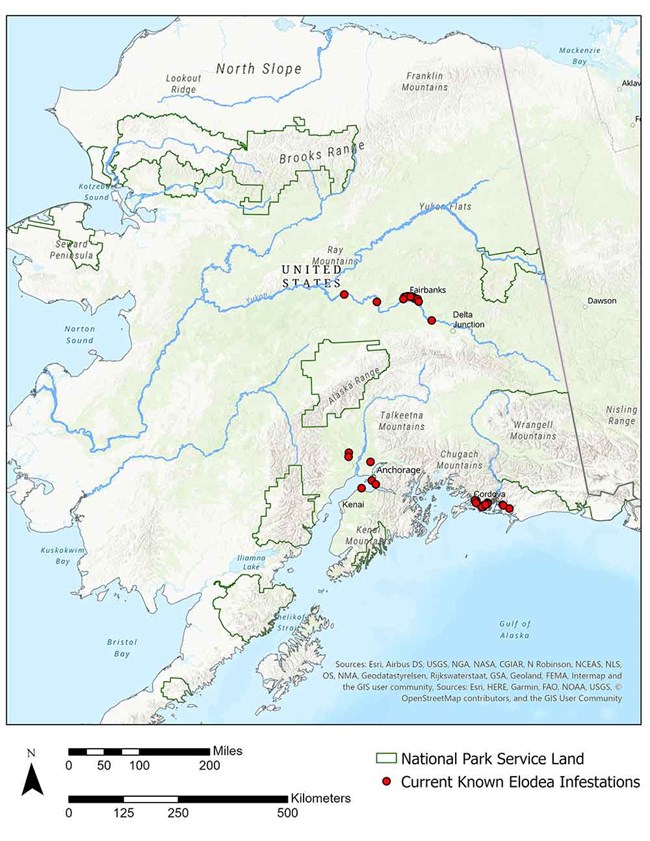 ElodeaMap2_300_web A map showing the location of elodea infestations in Alaska.