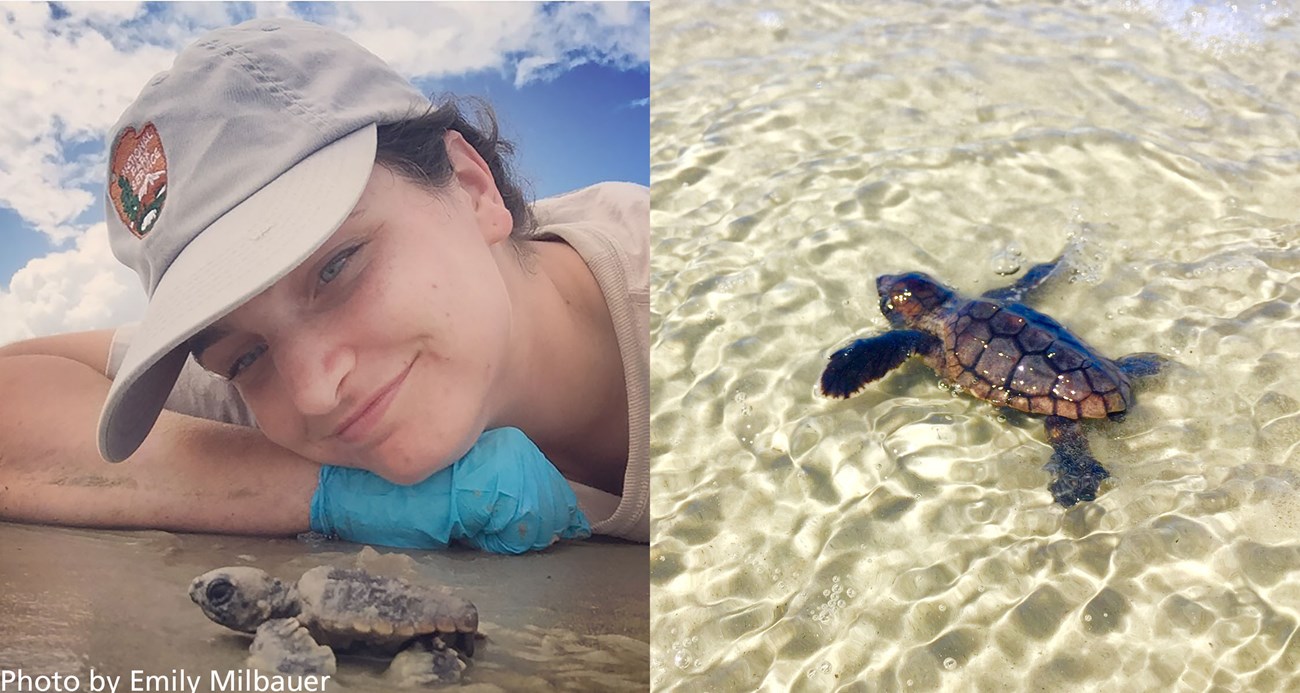 Citizen Science Girl's face looks over a small sea turtle in the water. Right, a sea turtle underwater.