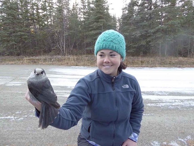 Emily Williams Emily Williams and Gray Jay