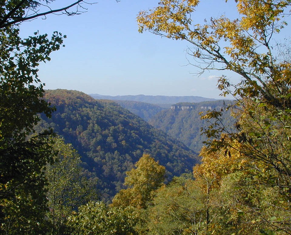 View of forested gorge walls in early fall, with leaves starting to turn colors