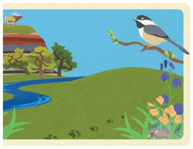 Outdoor scene of a backyard with a Chickadee on a tree branch.
