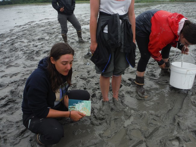 Four young adults stand in mud up to their ankles. One girl leans over looking in the mud, while holding a bucket.