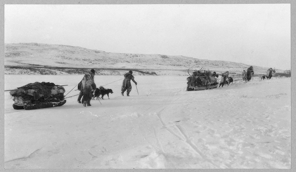 An historic image of a group of northern people travelling across the snow with sleds and animals.