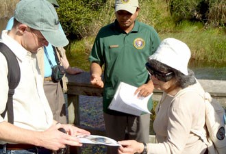 Everglades volunteers