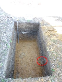 Excavation unit with a wagon handle protruding from the profile Excavation unit with a wagon handle protruding from the profile