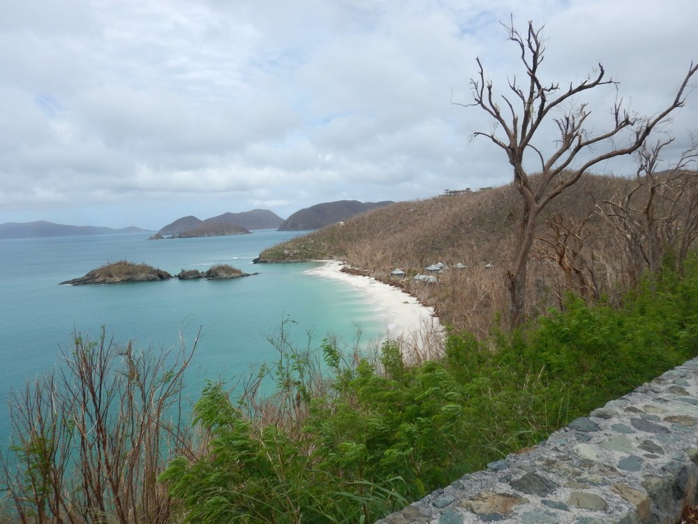 Trunk Bay From the Overlook view overlooking a bay heavily wooded with shrubs