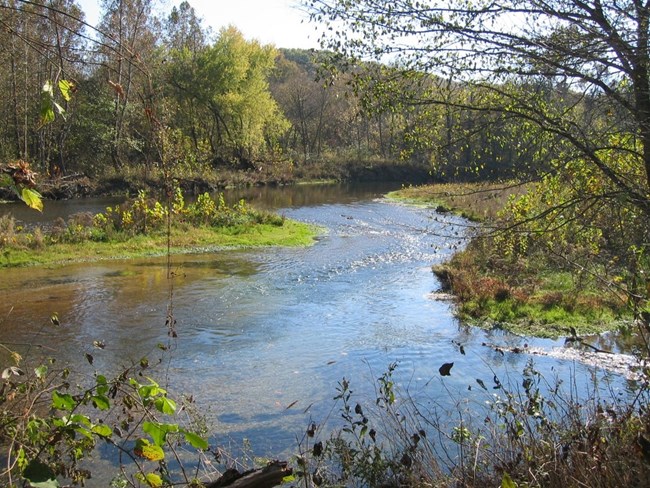 Scenic view of a winding river surrounded by trees and grass.