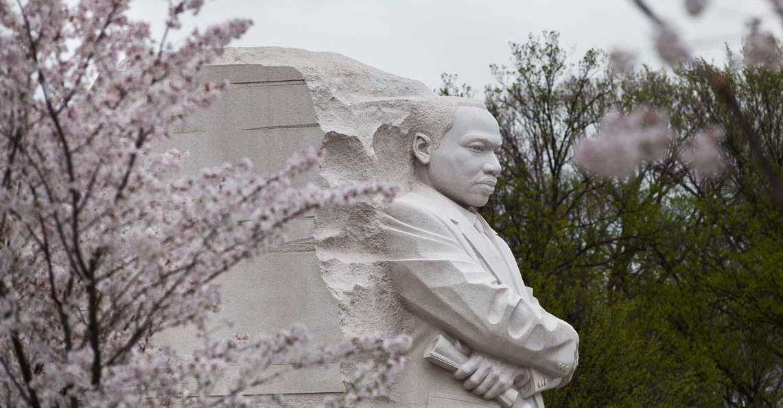 statue of Martin Luther King, Jr. with blossoming cherry trees