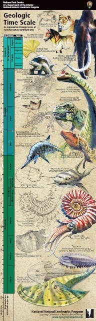 FIG 8 - NNL GEOLOGIC TIME - FOSSIL POSTER poster of geologic time scale featuring drawings of prehistoric animals