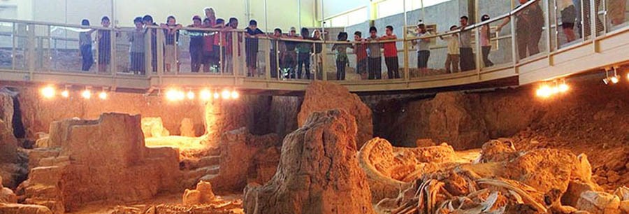 group of school children standing over the bone bed group of school children standing over the bone bed