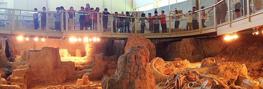 group of school children standing over the bone bed