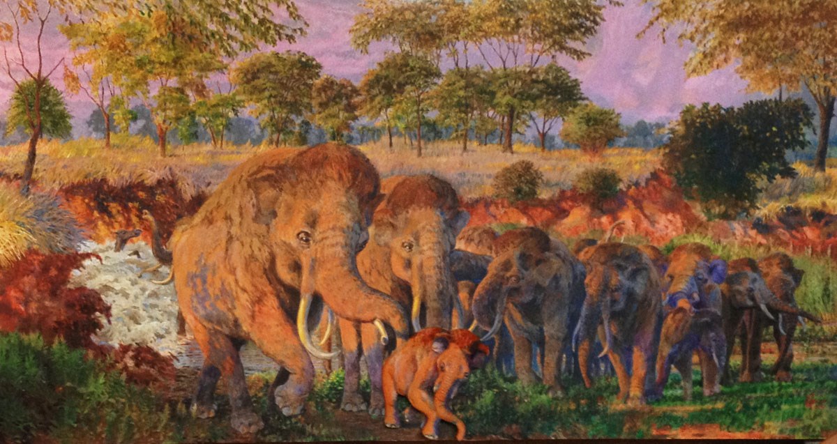 An artist's representation of the flood that captured the Waco mammoth nursery herd.