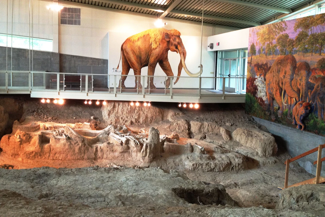 life size Colombian mammoth painting life size Colombian mammoth painting