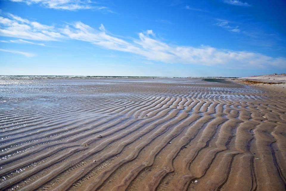 exposed wave ripples in sand during low tide