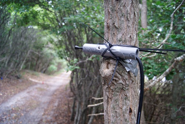 Acoustic detector attached to a tree next to a sandy road.