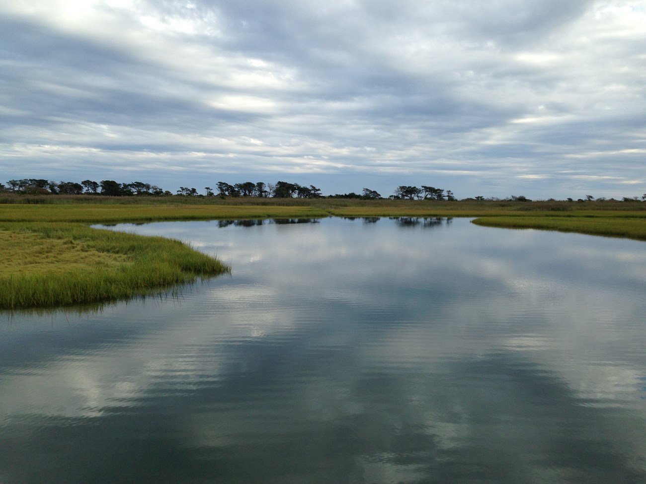 calm waters of Great South Bay and salt marsh grass