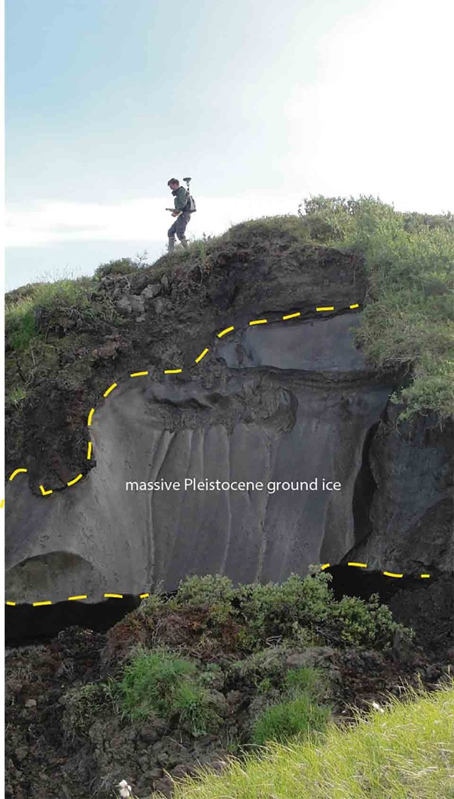 A researcher walks along the tundra, under him is a massive block of exposed ice from the Pleistocene.