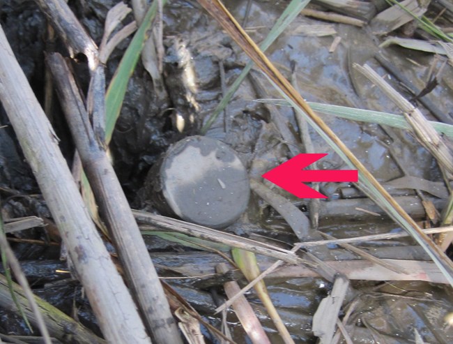 Cap protects the receiver at a rod surface elevation (RSET) table cap in the ground with red arrow pointing at it from the right