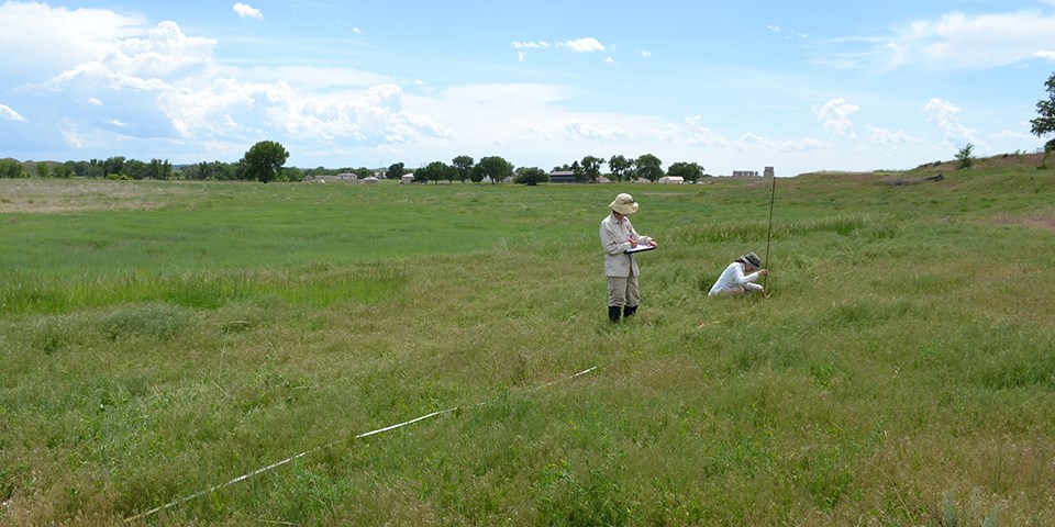 Monitoring plants in the prairie One person standing with a clipboard and one person kneeling in the grass holding a tall pole next to a stretched out measuring tape