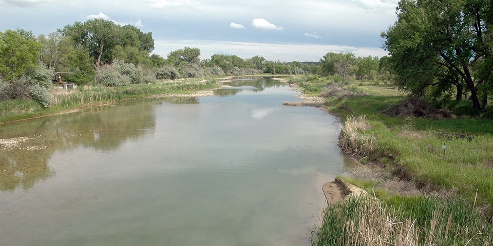 low green plants and trees line the sides of a river winding in the distance