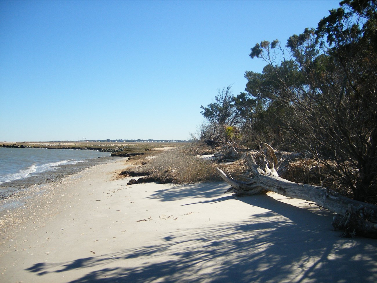 sandy beach at low tide