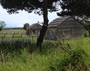 Reconstructed homes of Fort Vancouver's Kanaka Village. The site of William Kaulehelehe's house, foreground, was excavated in the summer of 2012.