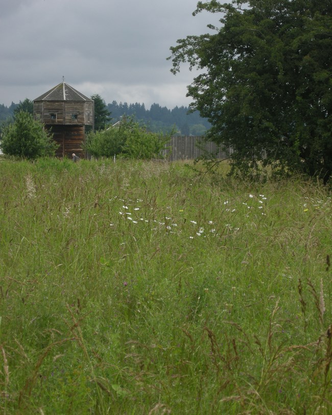 field and distant log fort field and distant log fort
