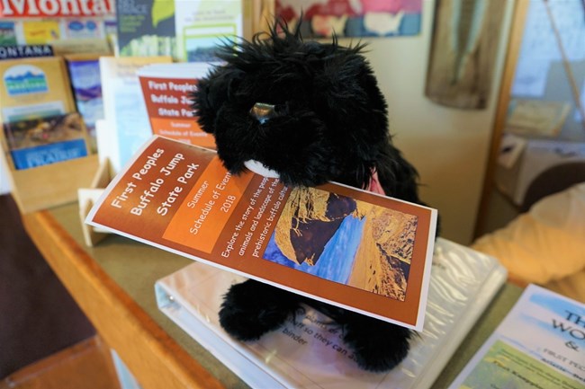 FP 1 stuffed pup holding brochure in her mouth