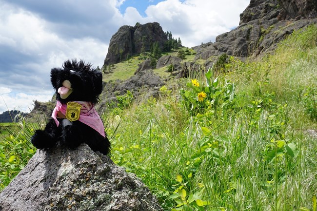 FP 12 Stuffed Pup near Tower Rock
