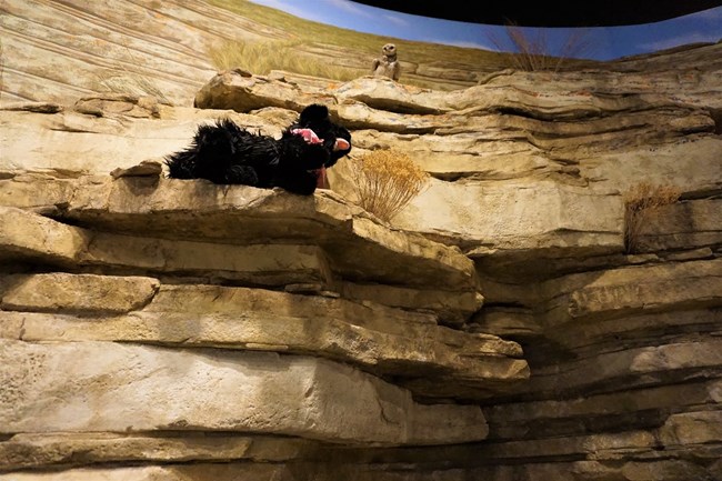FP 3 Stuffed pup on rocky cliff display