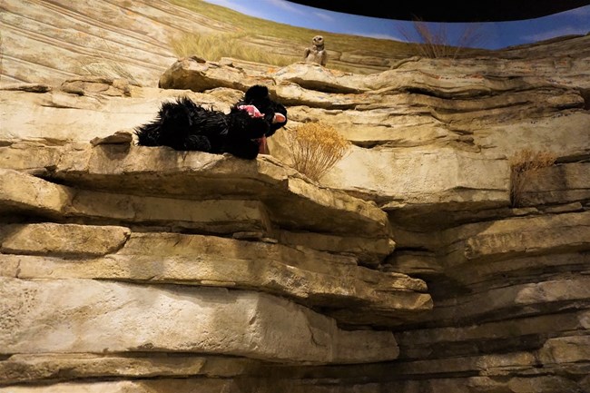 Stuffed pup on rocky cliff display