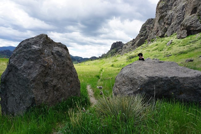 FP 8 stuffed pup near hiking trail