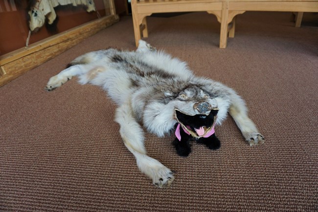 stuffed pup under animal fur