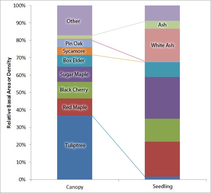 Friendship Hill National Historic Site forest composition Chart showing the relative abundance of tree species in the canopy and seedling layers.