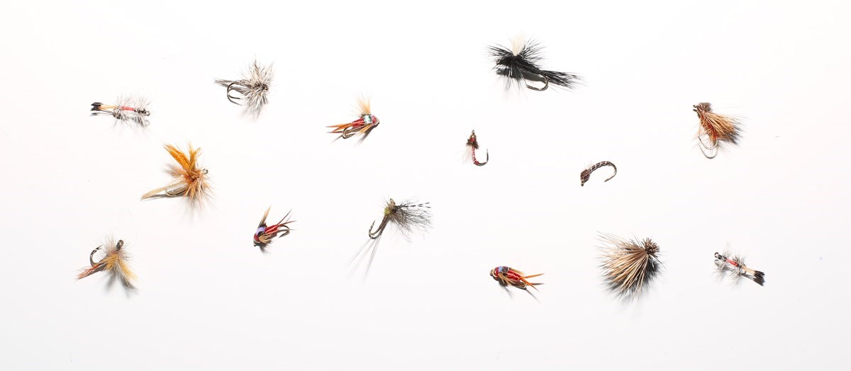 various fishing flies arranged on white background