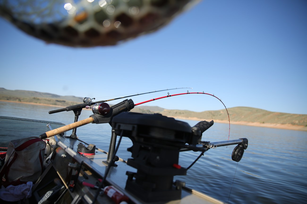 Two fishing rods sit in rod holders along the gunwale of a boat. There is a downrigger next to the rods.