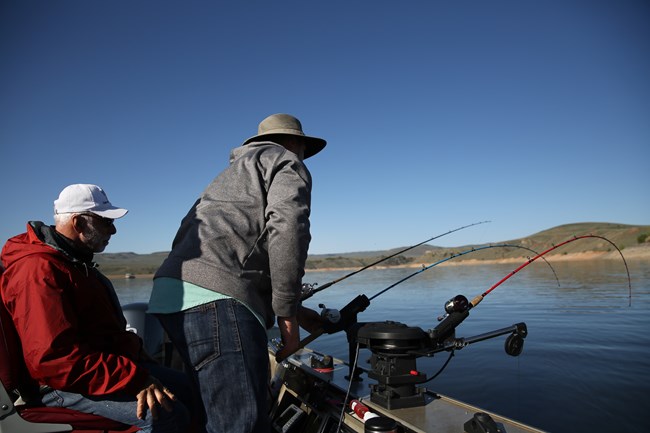 Several rods sit in rod holders on the gunwale of a boat that is trolling on a lake. The rod that is furthest away is being fished using the flatline trolling method. Two men adjust the rods and pilot the boat.