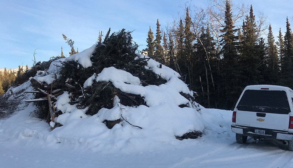 A 30x40 foot burn pile sits consisting of limbs and brush sits next to a large, full size pickup truck for size comparison.