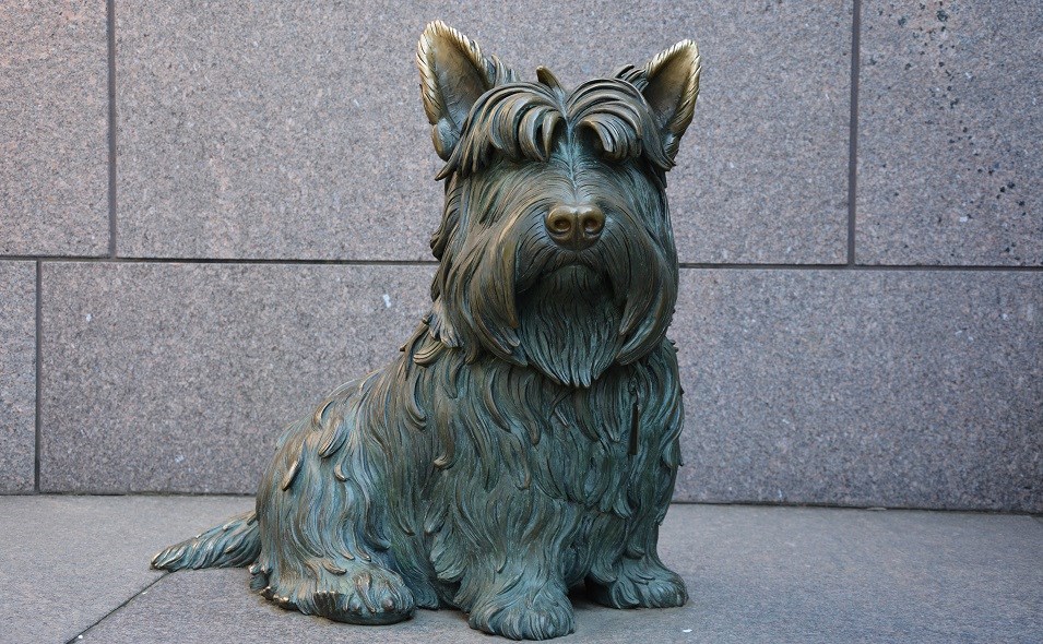 Bronze sculpture of a seated Sottish Terrier dog.